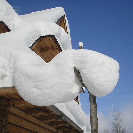 Nosalowka Zakopane Dış mekan fotoğraf