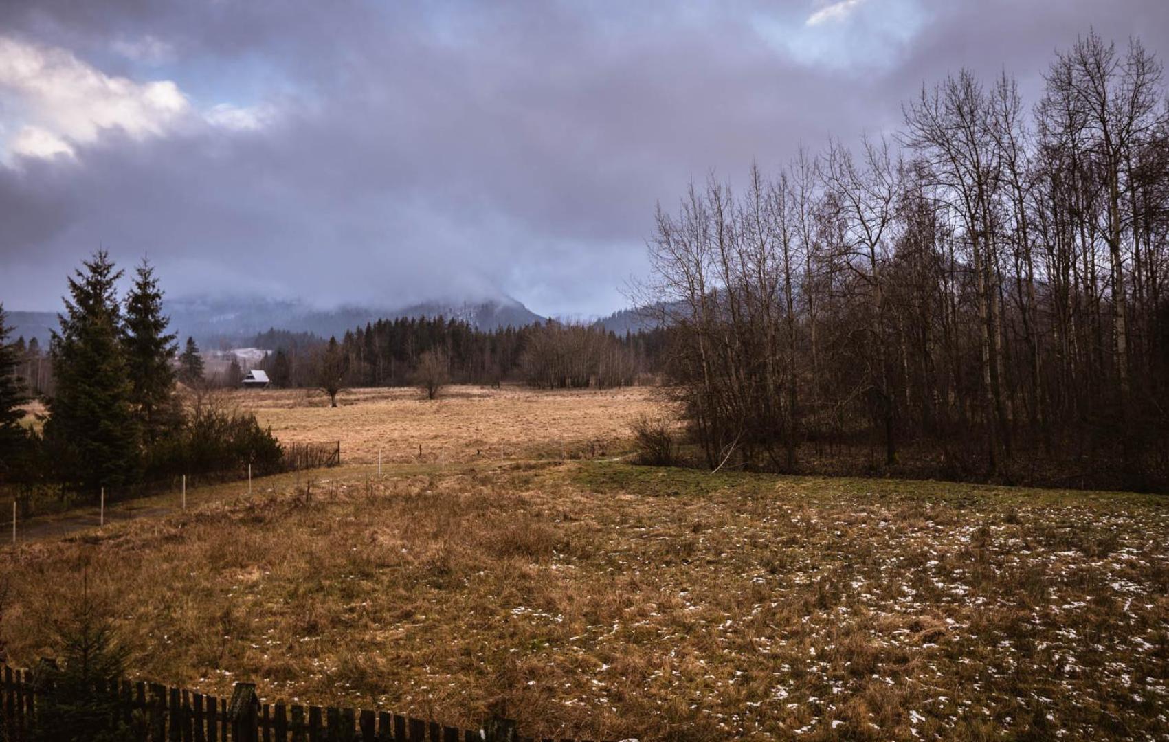 Nosalowka Zakopane Dış mekan fotoğraf